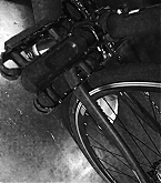 2013_11_13_1.jpg