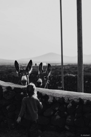 [url=https://twitter.com/Stana_Katic/status/425134294407708672]@Stana_Katic[/url]: Entre 2 burros
Palavras chave: Twitter;2014