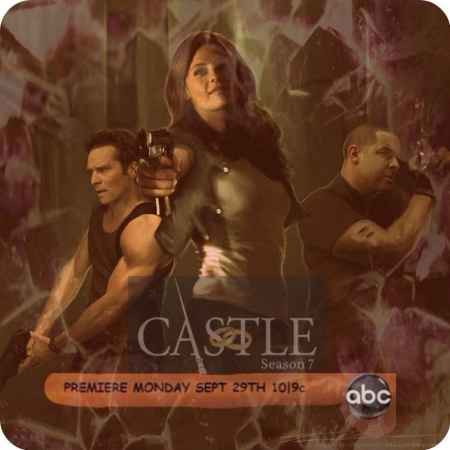 [url=https://twitter.com/Stana_Katic/status/510638573809172480]@Stana_Katic[/url]: #CastleSeason7Poster 
Palavras chave: Twitter;2014