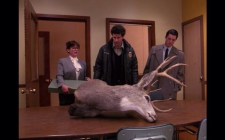 [url=https://twitter.com/Stana_Katic/status/525157970707886080]@Stana_Katic[/url]: Ele caiu.

Twin Peaks

