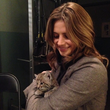 [url=https://www.facebook.com/stanakaticfanpage/photos/a.10151157352656674.438260.284801801673/10152437691616674]Stana Katic[/url] | [url=https://twitter.com/Stana_Katic/status/532703185354649603]@Stana_Katic[/url]: Passei um tempo com essa fofura hoje. #TrabalhoNãoÉNadaMal
