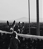 2014_01_19_3.jpg