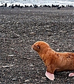 2014_01_22_1.jpg