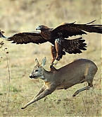 2014_03_20_3.jpg