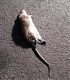 2014_03_31_1.jpg
