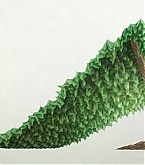 2014_04_07_8.jpg