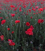 2014_07_20.jpg