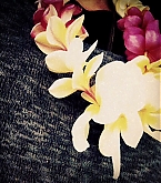 2014_11_30_1.jpg