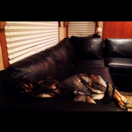 [url=https://instagram.com/p/1SB--HR4W1/]@drstanakatic[/url]: Bastidores de #Castle 13: "Vida no set"

