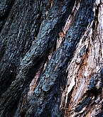 2015_01_06_2.jpg