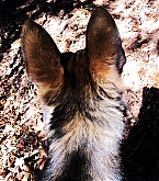 2015_01_06_3.jpg