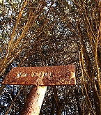 2015_01_06_4.jpg