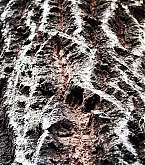 2015_01_06_6.jpg