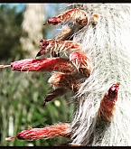 2015_08_08.jpg