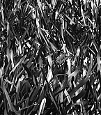 2015_08_13_3.jpg