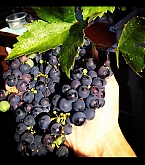 2015_09_09_3.jpg
