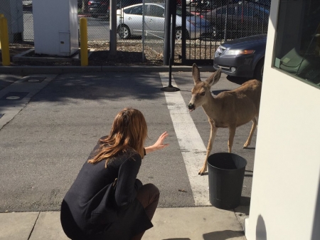 [url=https://twitter.com/Stana_Katic/status/695061405033050112]@Stana_Katic[/url]: Certo, isso acabou de acontecer.
