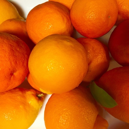 [url=https://www.instagram.com/p/BDZpMDYR4Qw]@drstanakatic[/url]: Vitória: Ter amigos com jardins orgânicos!! 🍊 
#delícia
