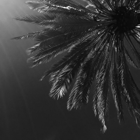 [url=https://www.instagram.com/p/BDcP-B6x4Sm]@drstanakatic[/url]: Sul da Califórnia.

Deslumbre ensolarado.

