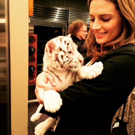 [url=https://twitter.com/Stana_Katic/status/718117069745557504]@Stana_Katic[/url]: Relembrando do dia que eu conheci esse monstro. #Castle

Grrr!

