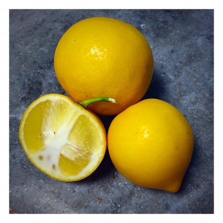 [url=http://twitter.com/Stana_Katic/status/759819083852484608]@Stana_Katic[/url]: Me deleitando com as frutas de amigos com #PlantaçãoOrgânica! Obrigada, @lizbeth4beauty por esse trio delicioso.

