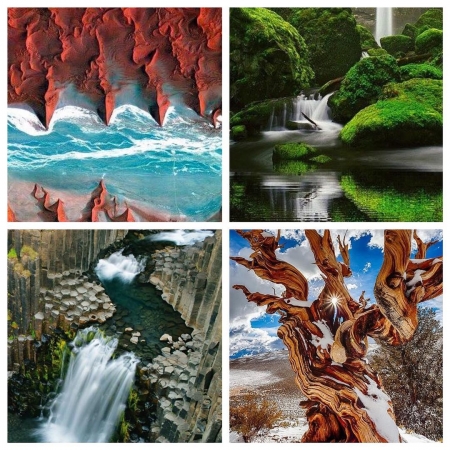 [url=http://instagram.com/p/BLcunsNgksN]@drstanakatic[/url]: Natureza impressionante está acima, ao redor & abaixo. Desde nossa paisagem épica & recursos naturais à vida selvagem majestosa & minúscula... que planeta magnífico no qual vivemos!
Parabéns a organizações como @green4ema que saúdam e celebram pessoas & projetos cujo trabalhos protegem nosso "pontinho azul". Em 22 de outubro, o #EMA reconhecerá esses líderes & dará uma plataforma a suas histórias. Para juntar-se ao jantar da premiação, visite www.green4ema.org
