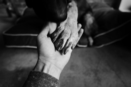 [url=http://instagram.com/p/BL9VgBvgHdY]@drstanakatic[/url]: De mãos dadas com meu pau pra toda obra.
