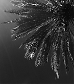 20160326.jpg
