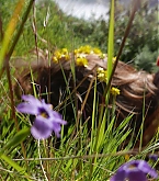 20160405.jpg
