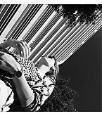 20160619_2.jpg