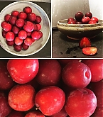 20160620_2.jpg