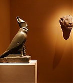 20160713_1.jpg