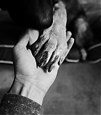 20161024_2.jpg