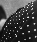 20161028_1.jpg