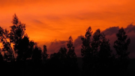 [url=http://instagram.com/p/BQT0ptJgztV]@drstanakatic[/url]: No rastro de um sol se pondo. #SemFiltro
