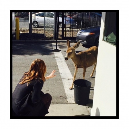 [url=https://instagram.com/p/BRwYviiAiZ5]@drstanakatic[/url]: Relembrando o momento quando isso aconteceu. 🦌
