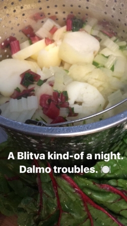 [url=http://instagram.com/drstanakatic]@drstanakatic[/url] (Stories): Um noite boa para Blitva. Encrencas da Dalmácia. 🍽
