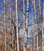 20170307_2.jpg
