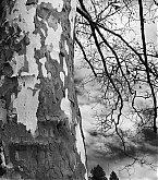 20170317_1.jpg