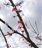 20170326_2.jpg