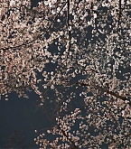 20170417_2.jpg