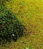 20170418_3.jpg