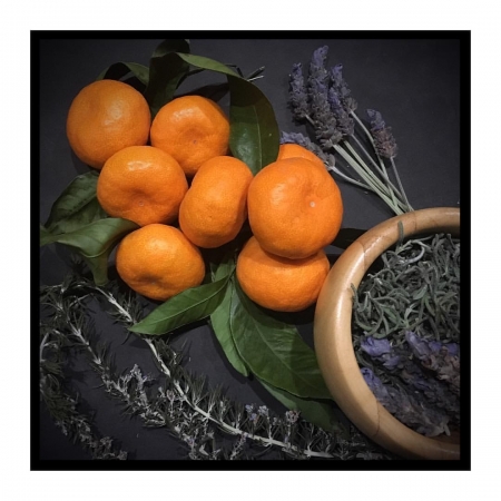 [url=http://instagram.com/p/BeogUucBF_c]@drstanakatic[/url]: 👩🏼‍🌾 Colheita do jardim. #delícia #JardimOrgânico #lavanda #alecrim #FrutasDeliciosasQueExplodemFeitoFogosDeArtifícioNoSeuPaladar
