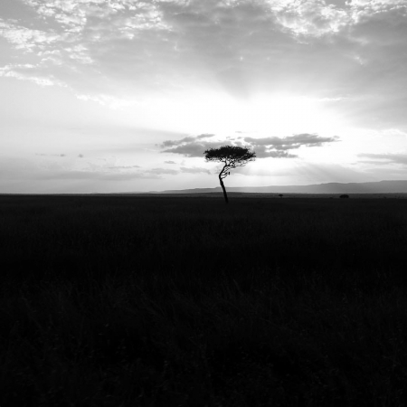 [url=http://instagram.com/p/BkgL8XIB5ry]@drstanakatic[/url]: O #Serengueti se exibindo. Serengueti significa "planícies infinitas" em masai. #TanzâniaDoMeuJeito #Tanzânia #FotoDaStana #ÁfricaOriental
