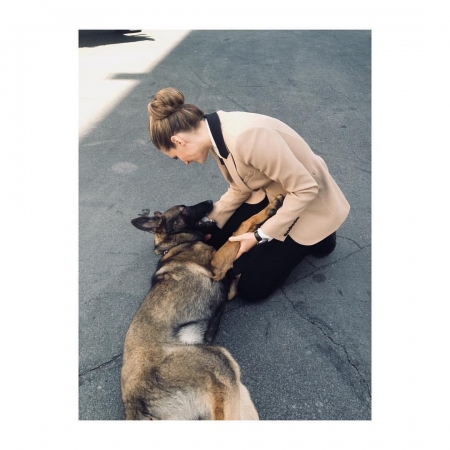 [url=http://instagram.com/p/BmHOW_BB2d9]@drstanakatic[/url]: #FelizDiaNacionalDoCachorro!! 🐕 #AuAu
