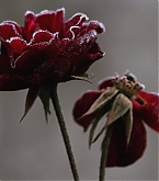 20180208_09.jpg
