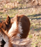 20180208_10.jpg
