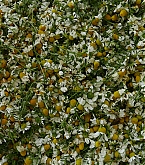 20180220_06.jpg