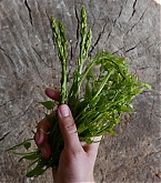 20180220_07.jpg
