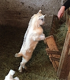 20180505_2.jpg
